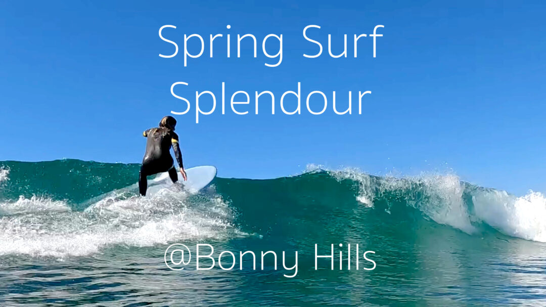 Spring Surf Splendour