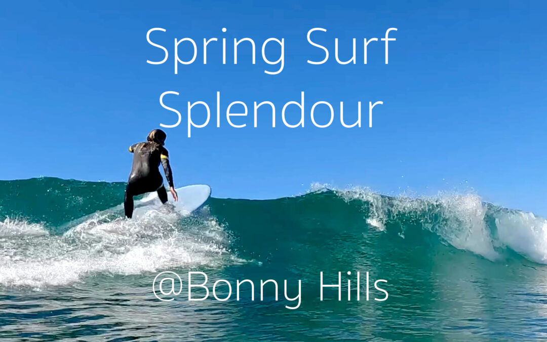 Spring Surf Splendour